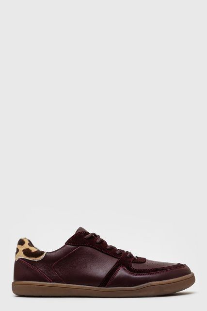 Barefoot кеди Arven Burgundy Leopard фото